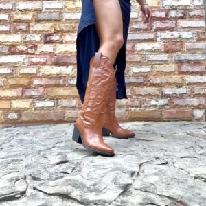 Bota vaquera 3-D bordada café